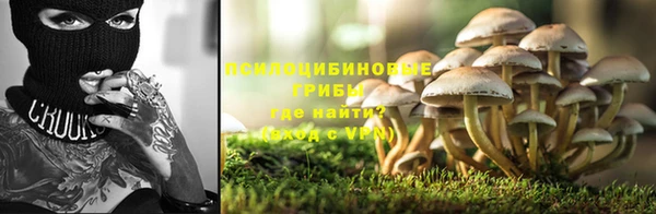 2c-b Горняк