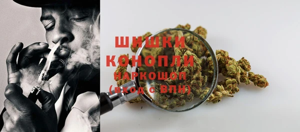 гидропоника Горно-Алтайск