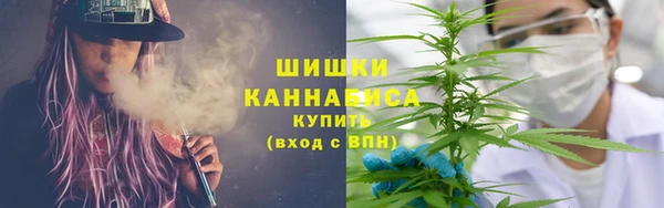 2c-b Горняк
