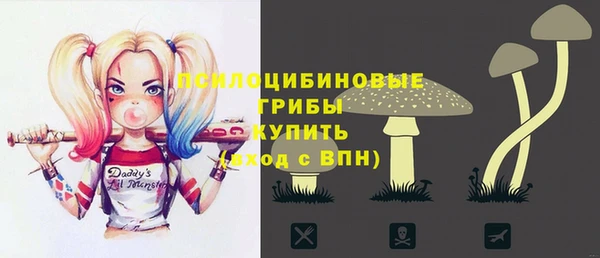 гидропоника Горно-Алтайск