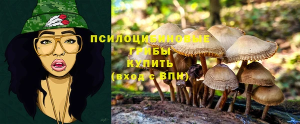 кокс Горнозаводск