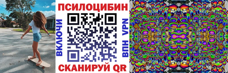 Псилоцибиновые грибы Cubensis  Кызыл 