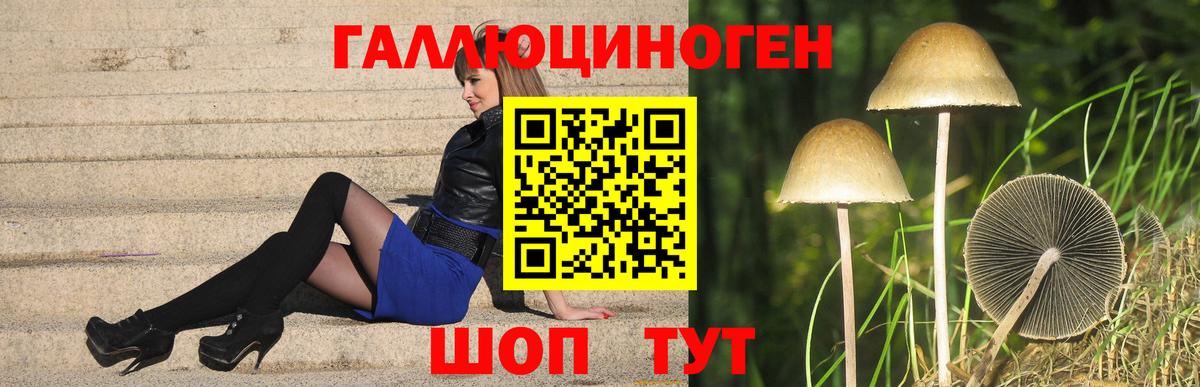 Галлюциногенные грибы прущие грибы Кызыл